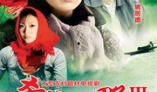 电视剧山野在线观看,探寻自然之美，共赴心灵之旅